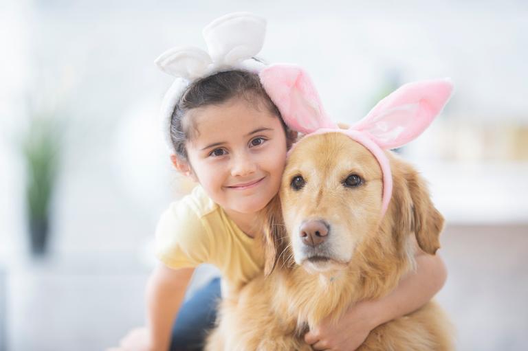 Got a family pet? Make sure the kids know to keep them away from these Easter things Got a family pet? Make sure the kids know to keep them away from these Easter things
