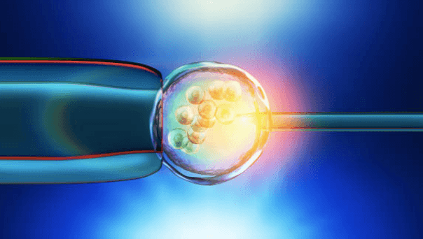 IVF clinic’s ‘selfie’ service allows patients to find look-a-like egg donors IVF clinic’s ‘selfie’ service allows patients to find look-a-like egg donors