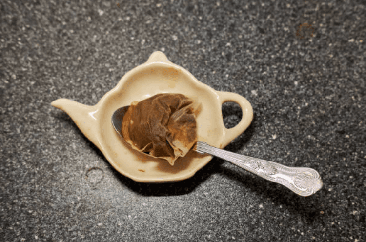 Teabags are more dirty than the office toilet, study claims Teabags are more dirty than the office toilet, study claims