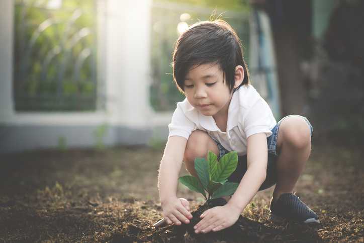 This tree planting event in Cork would be the ideal family day out This tree planting event in Cork would be the ideal family day out