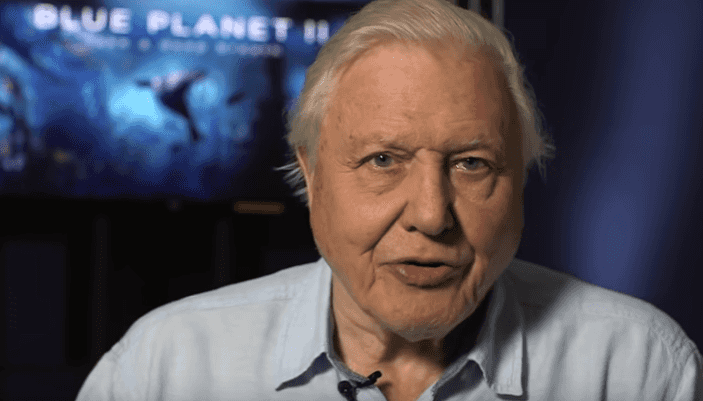 BBC announce David Attenborough has two nature documentaries coming this year