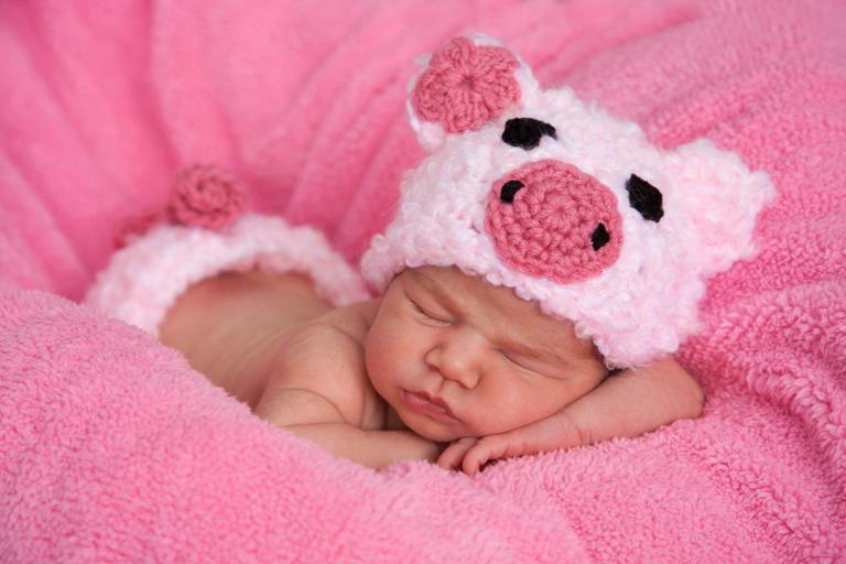 Chinese astrology says Year of the Pig is a great year to have a baby and here’s why Chinese astrology says Year of the Pig is a great year to have a baby and here’s why