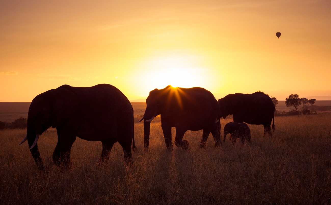 How to travel South Africa with the kids and make for a magical experience