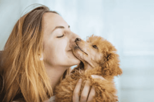 Bad news ‘cos kissing your pet on the mouth could be damaging your health