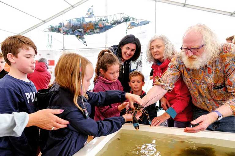Free family-friendly events around sustainability to take centre stage at Galway festival Free family-friendly events around sustainability to take centre stage at Galway festival