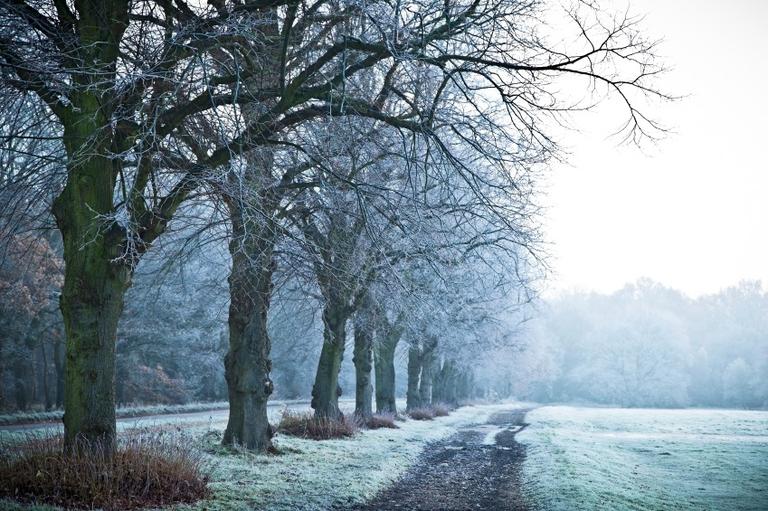 According to Met Eireann, temperatures are set to drop as low as -1C this week According to Met Eireann, temperatures are set to drop as low as -1C this week