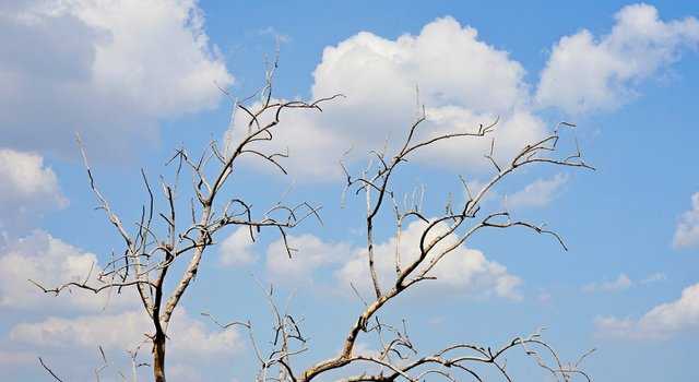 This week’s weather looks… pretty grand, actually This week’s weather looks… pretty grand, actually