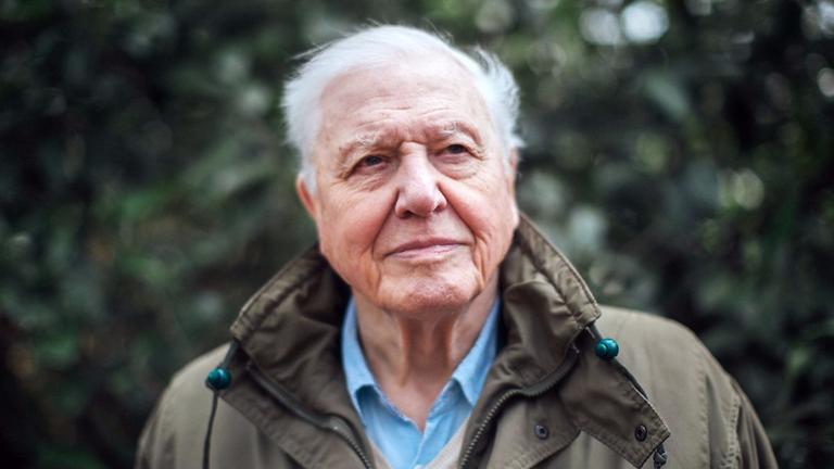 David Attenborough has just confirmed a brand new nature series for 2021 David Attenborough has just confirmed a brand new nature series for 2021