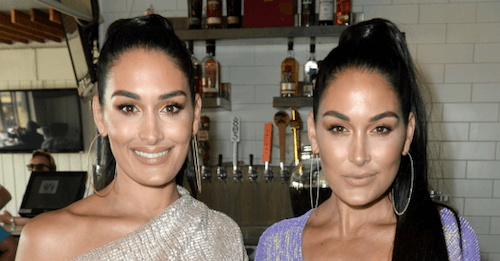 WWE twins Brie and Nikki Bella have both announced they are pregnant – and are due less than two weeks apart WWE twins Brie and Nikki Bella have both announced they are pregnant – and are due less than two weeks apart