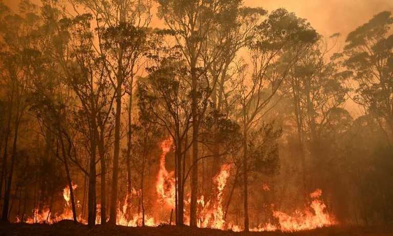 Sydney suburb recorded as the hottest place on Earth yesterday as bushfires continue Sydney suburb recorded as the hottest place on Earth yesterday as bushfires continue