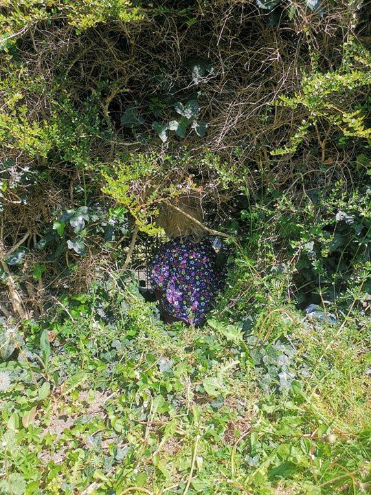 Friendship finds a way: my toddler made a new friend through gap in our hedge Friendship finds a way: my toddler made a new friend through gap in our hedge