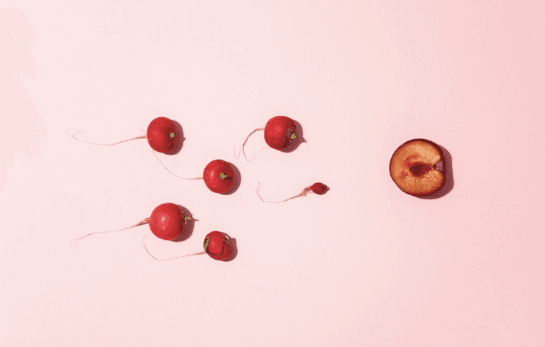 Getting pregnant: New study finds female eggs actually choose their sperm Getting pregnant: New study finds female eggs actually choose their sperm