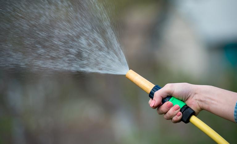 Public urged to take shorter showers as hosepipe ban introduced in Ireland Public urged to take shorter showers as hosepipe ban introduced in Ireland
