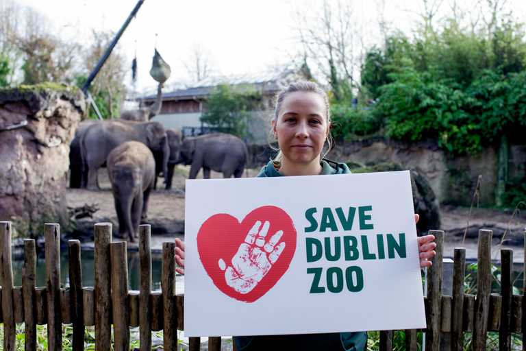 Dublin Zoo fundraising passes €1 million on first day Dublin Zoo fundraising passes €1 million on first day