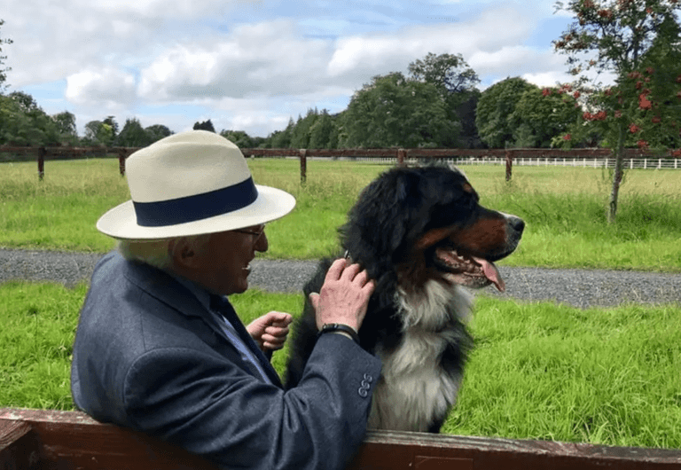 Good news: President Michael D Higgins is getting a new pony Good news: President Michael D Higgins is getting a new pony