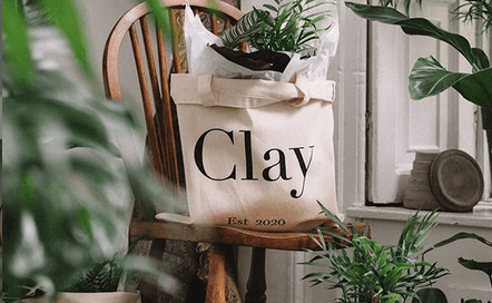 The gift that grows: We are obsessed with this new online Irish plant shop The gift that grows: We are obsessed with this new online Irish plant shop