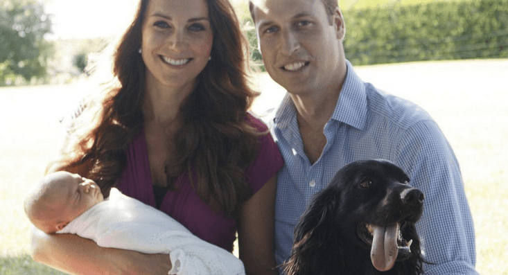 Kate Middleton and Prince William’s dog, Lupo, has passed away Kate Middleton and Prince William’s dog, Lupo, has passed away