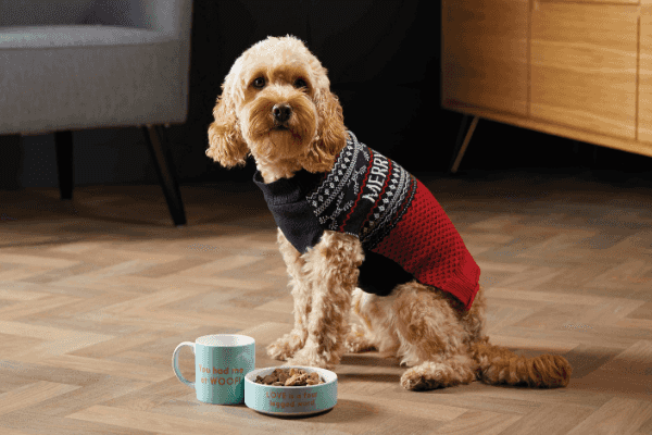 Aldi is now selling matching Christmas jumpers for you and your dog Aldi is now selling matching Christmas jumpers for you and your dog