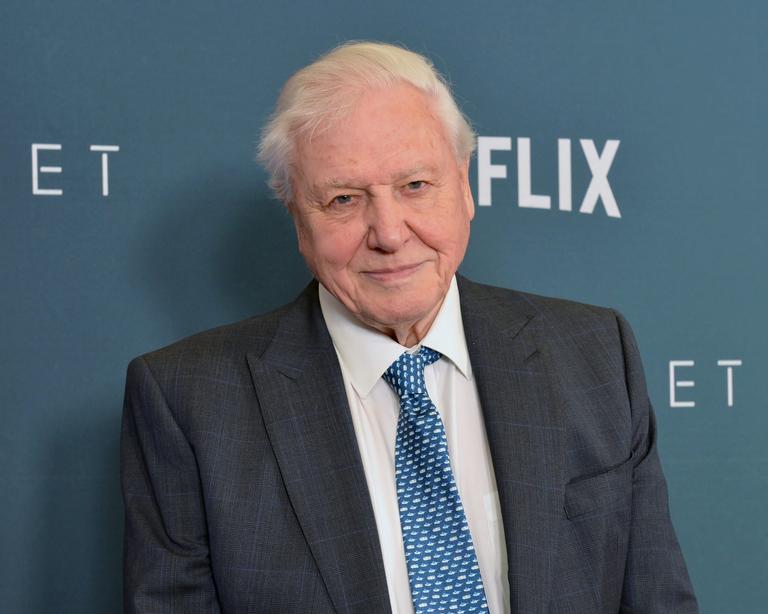 David Attenborough is set to receive a lifetime achievement award David Attenborough is set to receive a lifetime achievement award