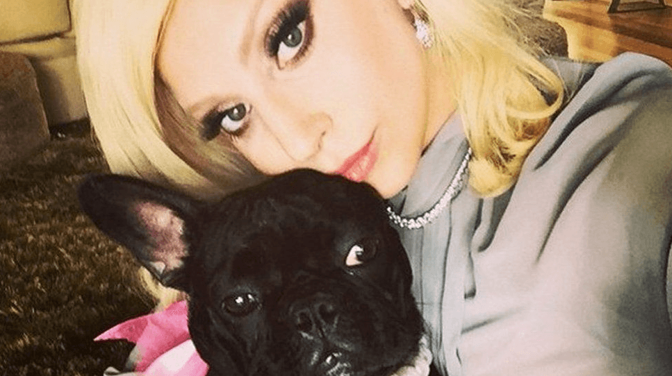 Lady Gaga’s dog walker shot as her two dogs are stolen