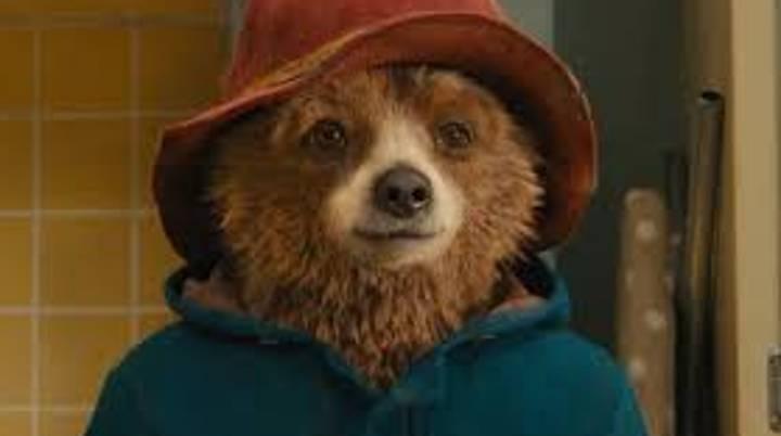 It’s been confirmed that Paddington 3 is officially happening It’s been confirmed that Paddington 3 is officially happening