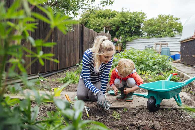 4 reasons why you should get your kids into gardening this summer 4 reasons why you should get your kids into gardening this summer