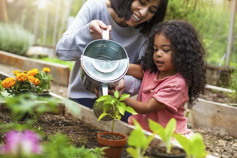 4 amazing benefits of starting a family herb garden 4 amazing benefits of starting a family herb garden