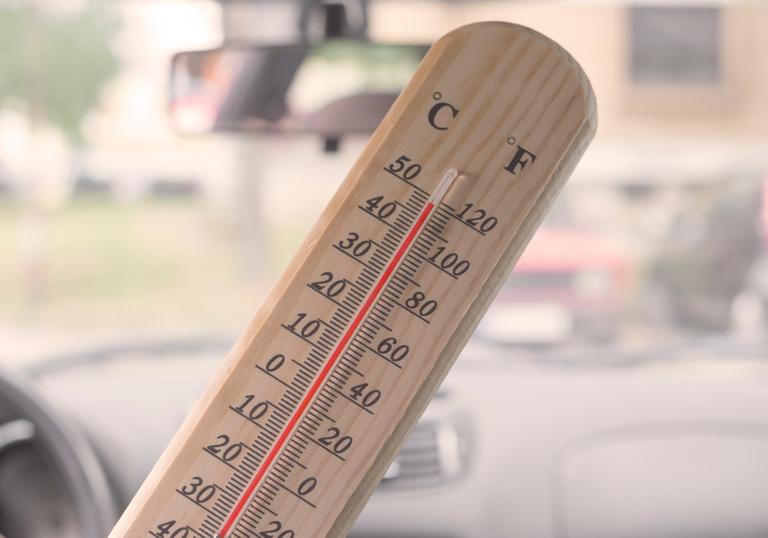 “I blanked out. I killed my babies”: How the brain makes it easy to forget your child in a hot car “I blanked out. I killed my babies”: How the brain makes it easy to forget your child in a hot car