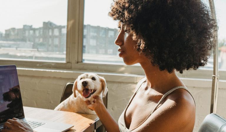 Study finds owners can pass on Covid-19 to cats and dogs Study finds owners can pass on Covid-19 to cats and dogs