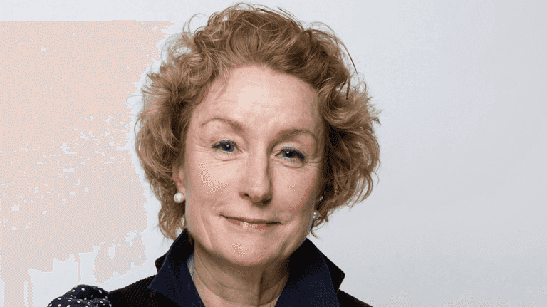 Man arrested over hit-and-run that killed Gone Girl actress Lisa Banes Man arrested over hit-and-run that killed Gone Girl actress Lisa Banes