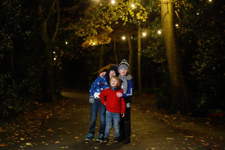 Illuminated free family forest walks in Marlay Park & Cabinteely Park to remain open Illuminated free family forest walks in Marlay Park & Cabinteely Park to remain open