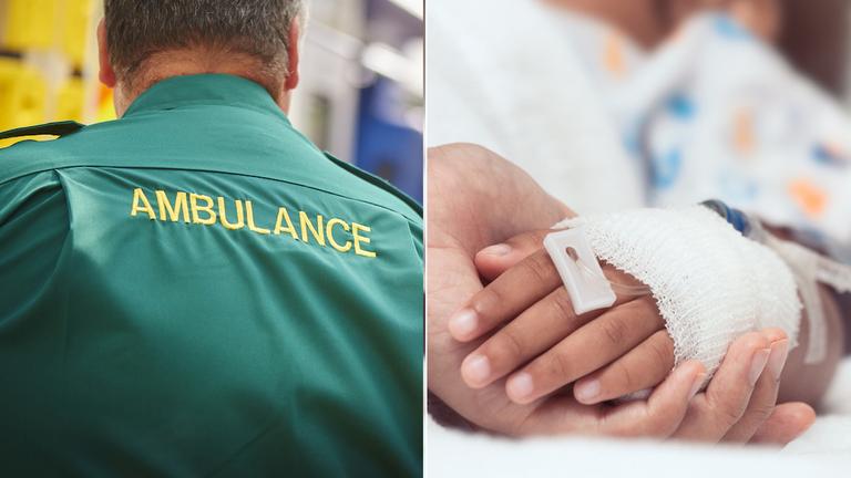 3-year-old killed in suspected dog attack in Manchester 3-year-old killed in suspected dog attack in Manchester