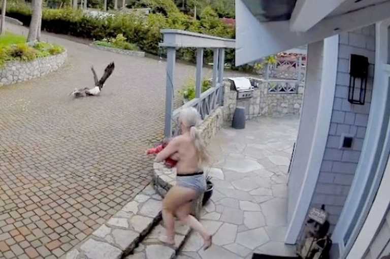 Brave, breastfeeding mother saves pet goose from bald eagle Brave, breastfeeding mother saves pet goose from bald eagle