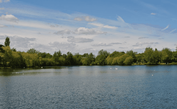 The bodies of three missing children and woman found in Minnesota lake The bodies of three missing children and woman found in Minnesota lake