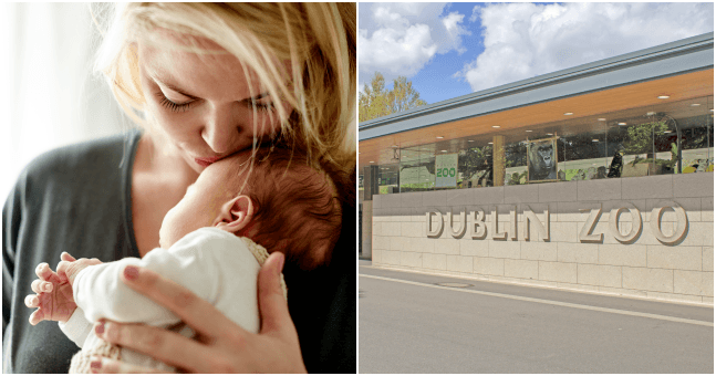 WIN: Tickets to the Pregnancy & Baby Fair, a Dublin Zoo family pass AND a hamper of baby essentials WIN: Tickets to the Pregnancy & Baby Fair, a Dublin Zoo family pass AND a hamper of baby essentials