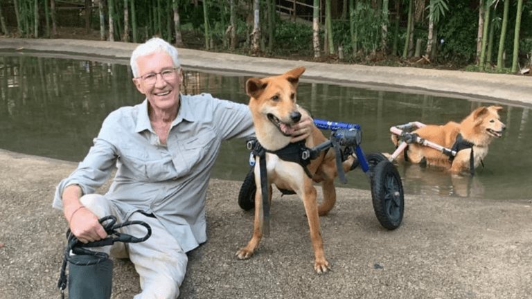 Paul O’Grady fans are saying the same thing after final season of For The Love of Dogs Paul O’Grady fans are saying the same thing after final season of For The Love of Dogs