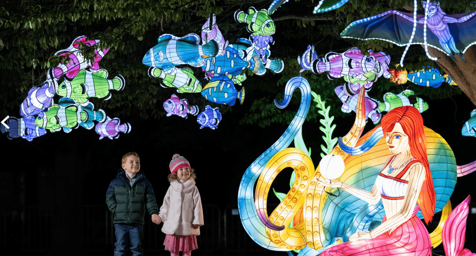 Wild Lights at Dublin Zoo will have a magical new theme this year