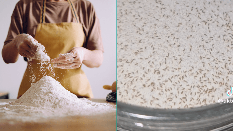 This is why flour should be kept in the freezer instead of cupboards This is why flour should be kept in the freezer instead of cupboards