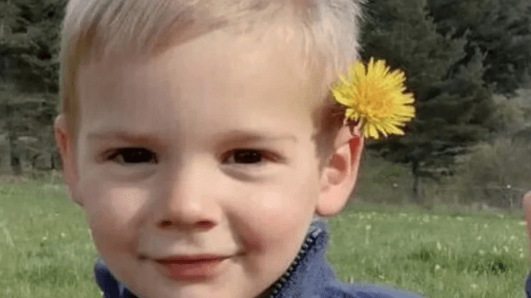 Remains found of French toddler who went missing last July Remains found of French toddler who went missing last July