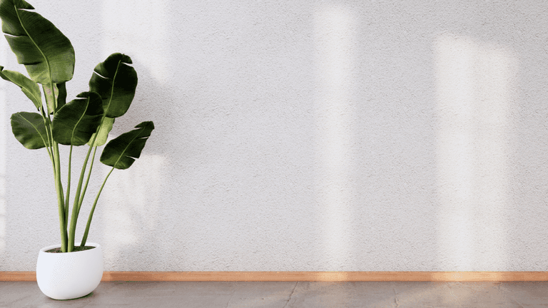 Expert warns against skirting board cleaning hack Expert warns against skirting board cleaning hack