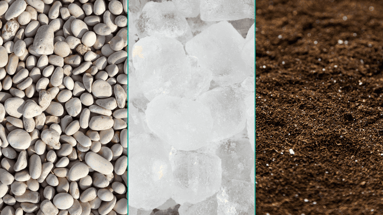 Understanding pica cravings – causes, implications, and management Understanding pica cravings – causes, implications, and management