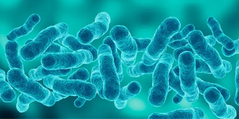 World Sepsis Day: HSE highlights the signs and symptoms amid rising cases World Sepsis Day: HSE highlights the signs and symptoms amid rising cases