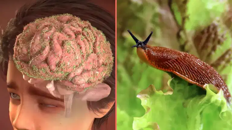 Terrifying simulation reveals what happened to teenager who ate slug after being dared by his friends Terrifying simulation reveals what happened to teenager who ate slug after being dared by his friends