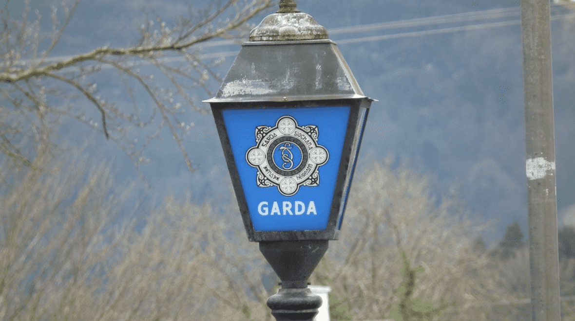 Gardaí issue appeal after man is charged over alleged assault of girl (10)