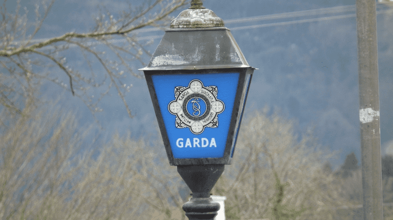 Gardaí issue appeal after man is charged over alleged assault of girl (10) Gardaí issue appeal after man is charged over alleged assault of girl (10)