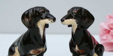 Interior trend alert: animal-themed salt ‘n’ pepper shakers we can’t help wanting