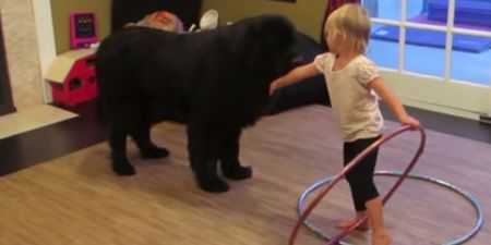 WATCH: Toddler teaches family dog how to hula-hoop