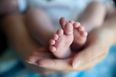RESEARCH: Becoming a parent looks, neurologically, a lot like falling in love