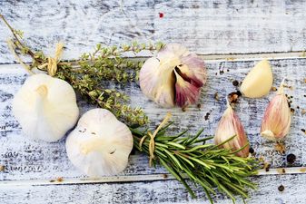 Trying to avoid antibiotics during pregnancy?
