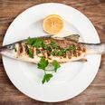 New study suggests eating fish during pregnancy could be beneficial, not dangerous